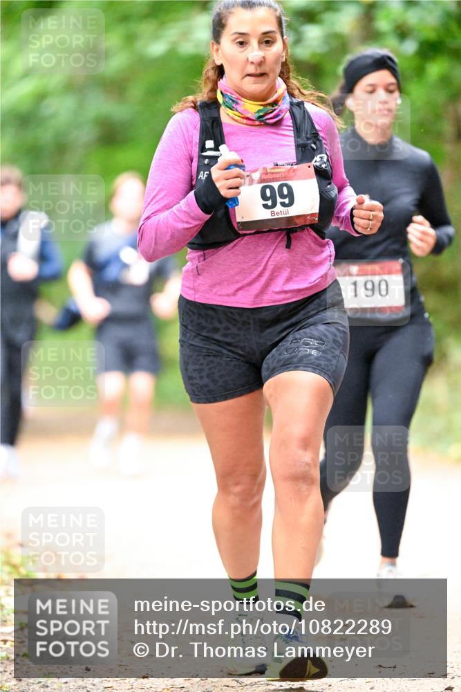 11.10.2026 - Bramfelder Halbmarathon 2026 Dr. Thomas Lammeyer http://msf.ph/oto/10822289 11.10.2026 10:33:56 Laufen 99, 190 meine-sportfotos.de