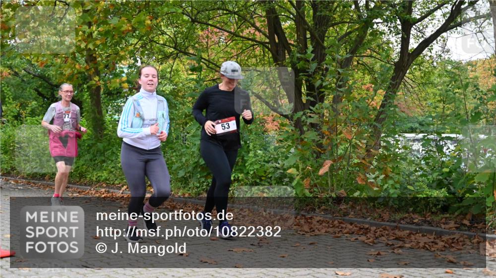 11.10.2026 - Bramfelder Halbmarathon 2026 J. Mangold http://msf.ph/oto/10822382 11.10.2026 10:15:33 Laufen 53, 354, 778 meine-sportfotos.de