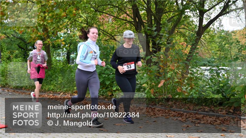 11.10.2026 - Bramfelder Halbmarathon 2026 J. Mangold http://msf.ph/oto/10822384 11.10.2026 10:15:34 Laufen 53, 354, 590, 613, 778 meine-sportfotos.de