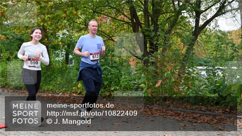 11.10.2026 - Bramfelder Halbmarathon 2026 J. Mangold http://msf.ph/oto/10822409 11.10.2026 10:15:36 Laufen 53, 354, 590, 613, 778 meine-sportfotos.de