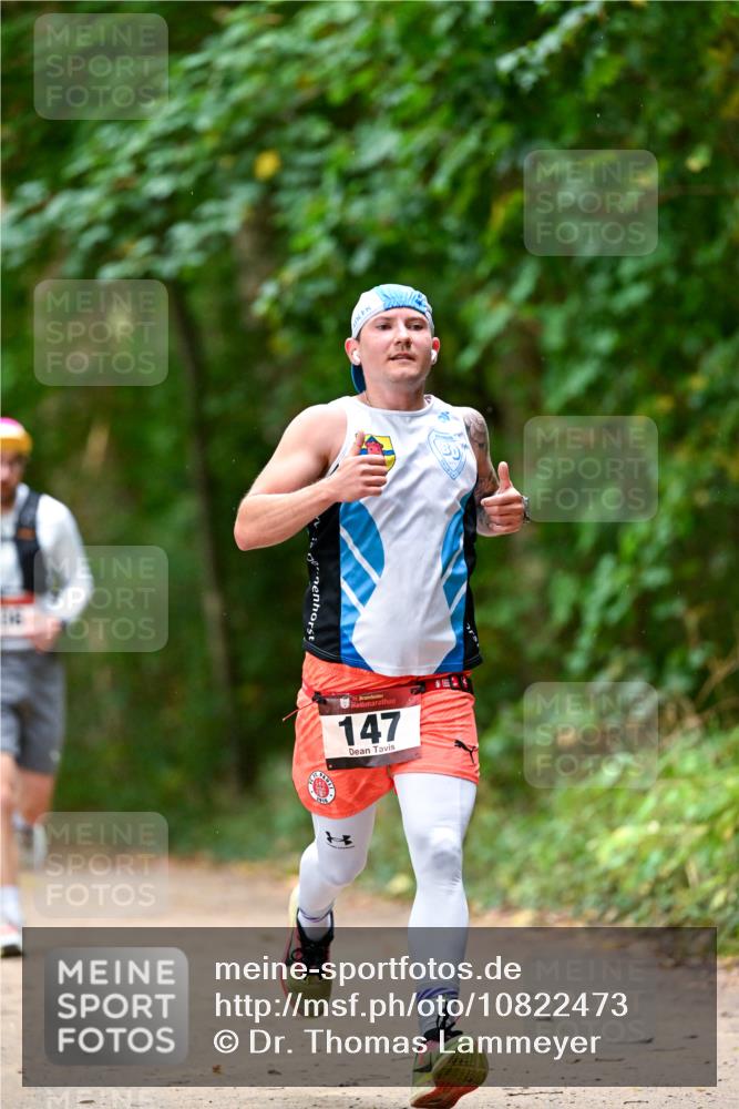 11.10.2026 - Bramfelder Halbmarathon 2026 Dr. Thomas Lammeyer http://msf.ph/oto/10822473 11.10.2026 10:34:59 Laufen 147 meine-sportfotos.de