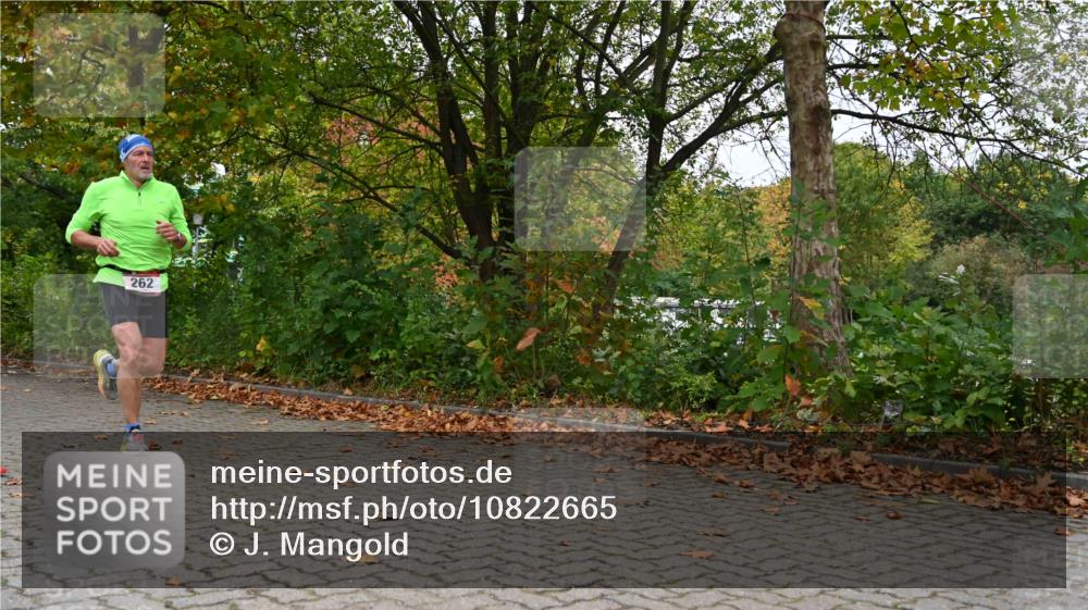 11.10.2026 - Bramfelder Halbmarathon 2026 J. Mangold http://msf.ph/oto/10822665 11.10.2026 10:20:50 Laufen 201, 262 meine-sportfotos.de