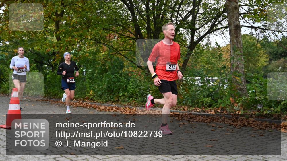 11.10.2026 - Bramfelder Halbmarathon 2026 J. Mangold http://msf.ph/oto/10822739 11.10.2026 10:22:07 Laufen 240, 272, 275 meine-sportfotos.de