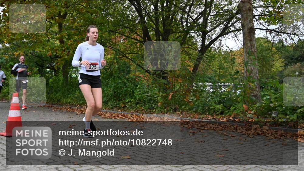 11.10.2026 - Bramfelder Halbmarathon 2026 J. Mangold http://msf.ph/oto/10822748 11.10.2026 10:22:09 Laufen 240, 272, 275, 730, 816 meine-sportfotos.de