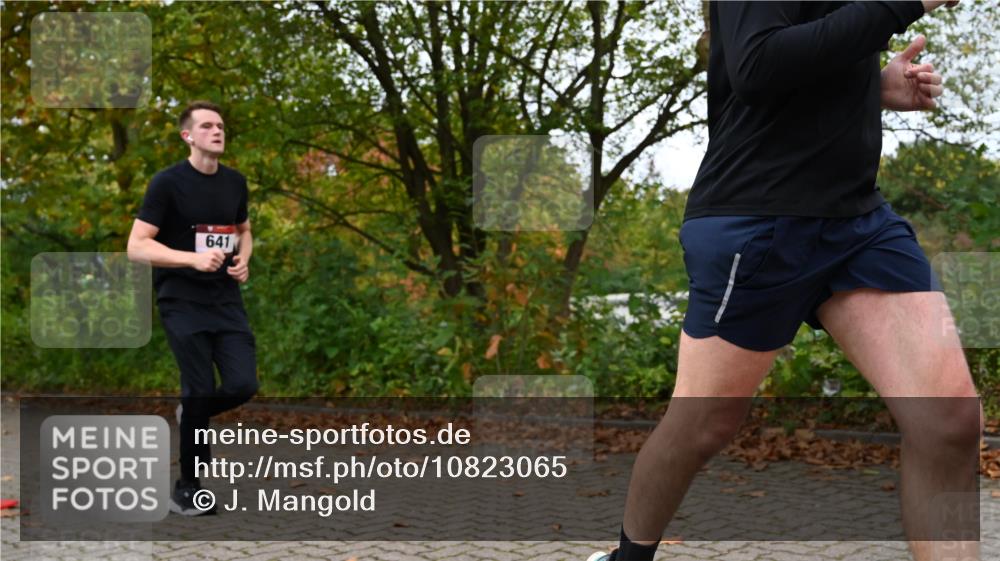 11.10.2026 - Bramfelder Halbmarathon 2026 J. Mangold http://msf.ph/oto/10823065 11.10.2026 10:27:12 Laufen 530, 551, 641, 702 meine-sportfotos.de