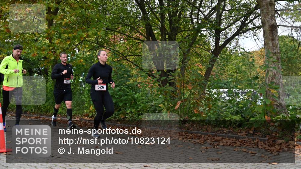 11.10.2026 - Bramfelder Halbmarathon 2026 J. Mangold http://msf.ph/oto/10823124 11.10.2026 10:27:58 Laufen 368, 521, 526, 637, 725, 735 meine-sportfotos.de