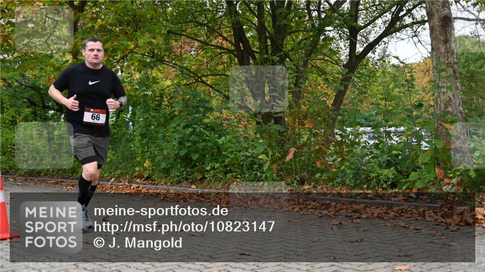 11.10.2026 - Bramfelder Halbmarathon 2026 J. Mangold http://msf.ph/oto/10823147 11.10.2026 10:28:14 Laufen 66, 173 meine-sportfotos.de