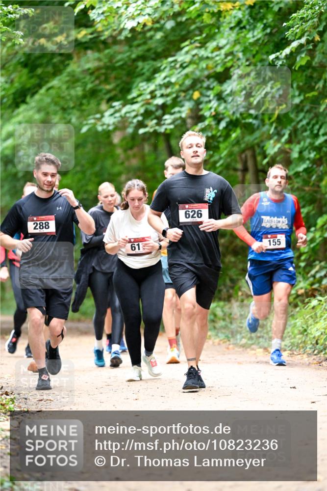 11.10.2026 - Bramfelder Halbmarathon 2026 Dr. Thomas Lammeyer http://msf.ph/oto/10823236 11.10.2026 10:37:49 Laufen 288, 613, 626, 155 meine-sportfotos.de