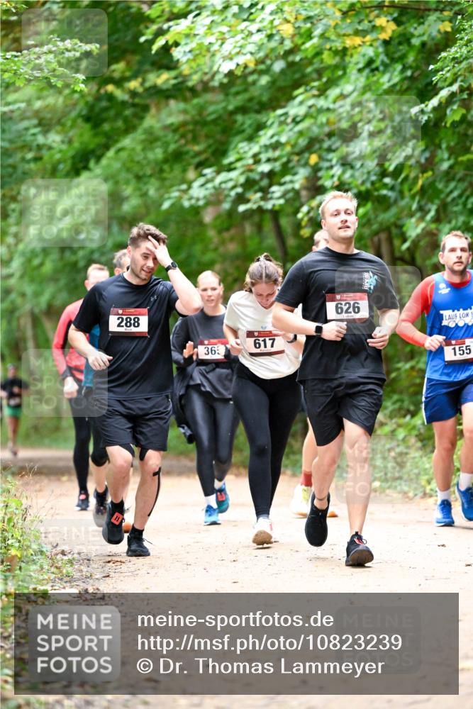 11.10.2026 - Bramfelder Halbmarathon 2026 Dr. Thomas Lammeyer http://msf.ph/oto/10823239 11.10.2026 10:37:50 Laufen 288, 365, 617, 626, 155 meine-sportfotos.de