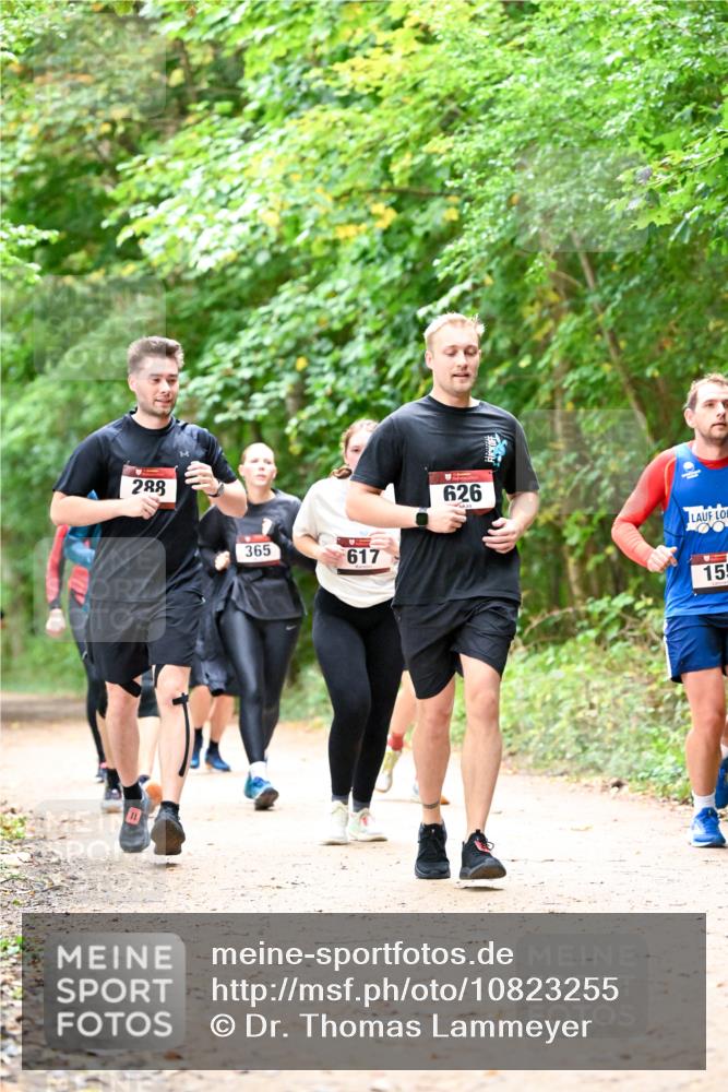 11.10.2026 - Bramfelder Halbmarathon 2026 Dr. Thomas Lammeyer http://msf.ph/oto/10823255 11.10.2026 10:37:51 Laufen 288, 365, 617, 626, 15 meine-sportfotos.de