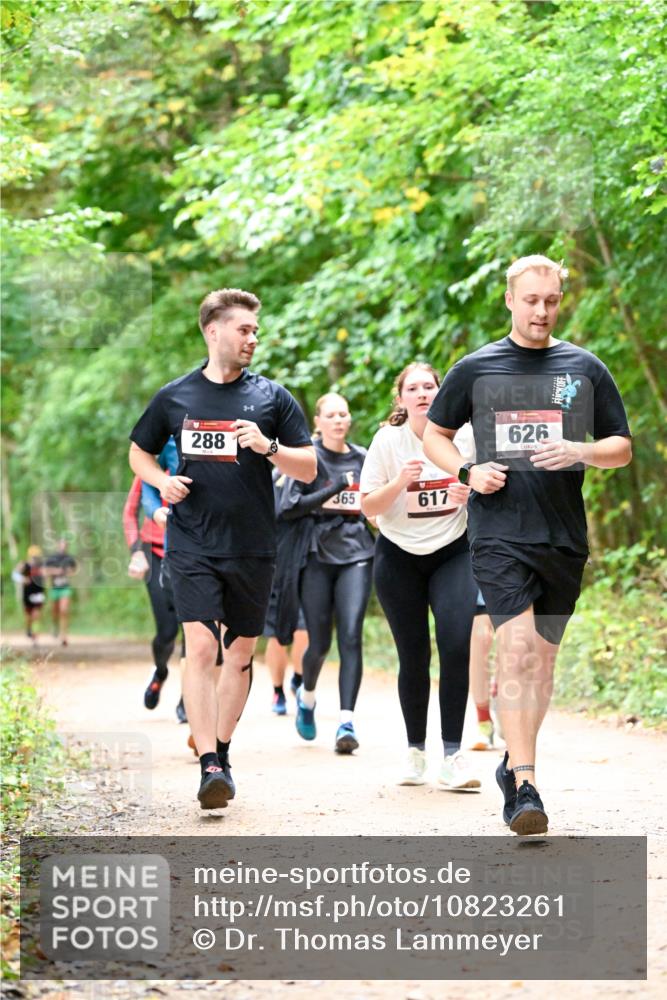 11.10.2026 - Bramfelder Halbmarathon 2026 Dr. Thomas Lammeyer http://msf.ph/oto/10823261 11.10.2026 10:37:51 Laufen 288, 365, 617, 626 meine-sportfotos.de