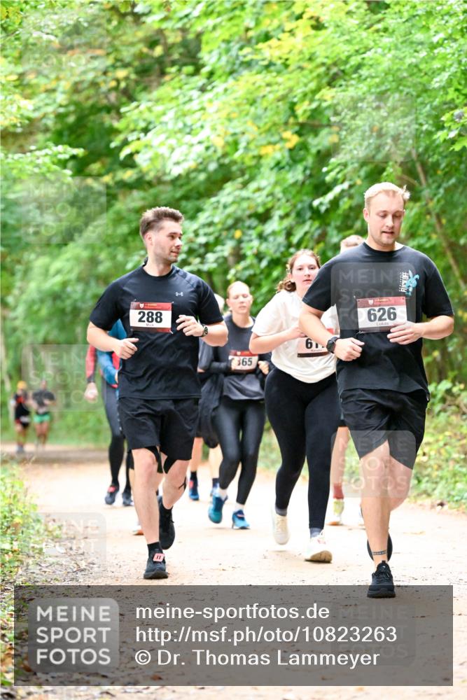 11.10.2026 - Bramfelder Halbmarathon 2026 Dr. Thomas Lammeyer http://msf.ph/oto/10823263 11.10.2026 10:37:51 Laufen 288, 365, 626 meine-sportfotos.de