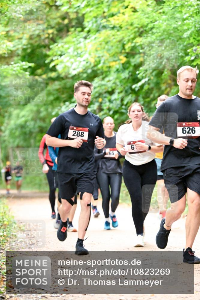 11.10.2026 - Bramfelder Halbmarathon 2026 Dr. Thomas Lammeyer http://msf.ph/oto/10823269 11.10.2026 10:37:52 Laufen 288, 565, 6, 626 meine-sportfotos.de