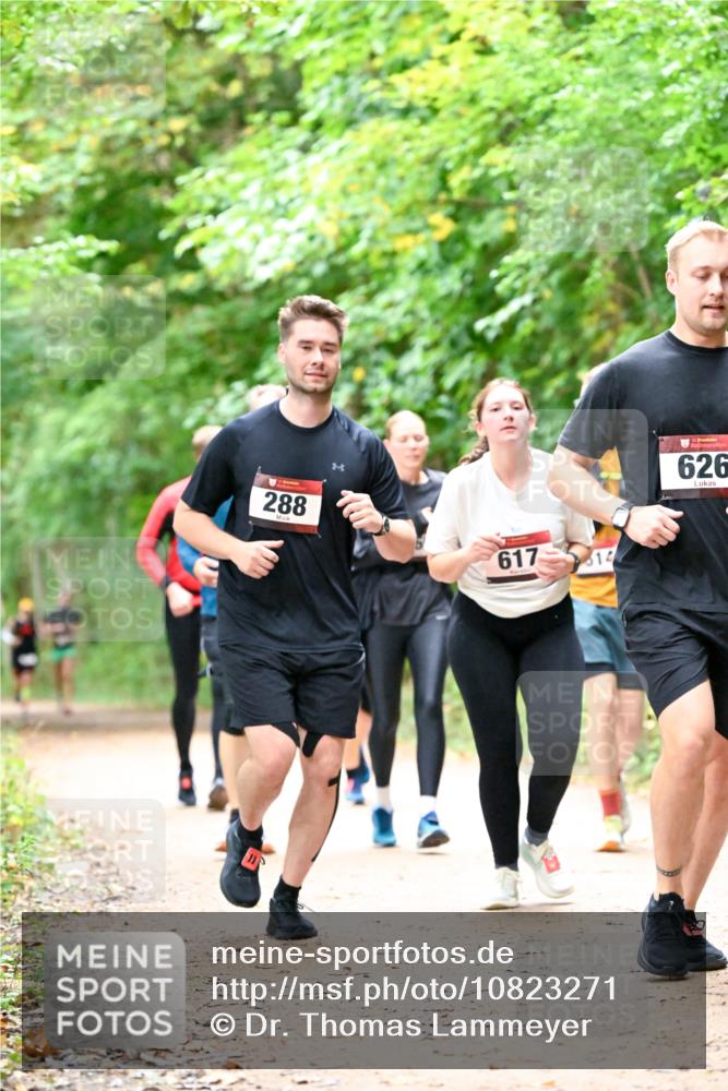 11.10.2026 - Bramfelder Halbmarathon 2026 Dr. Thomas Lammeyer http://msf.ph/oto/10823271 11.10.2026 10:37:52 Laufen 288, 617, 626 meine-sportfotos.de