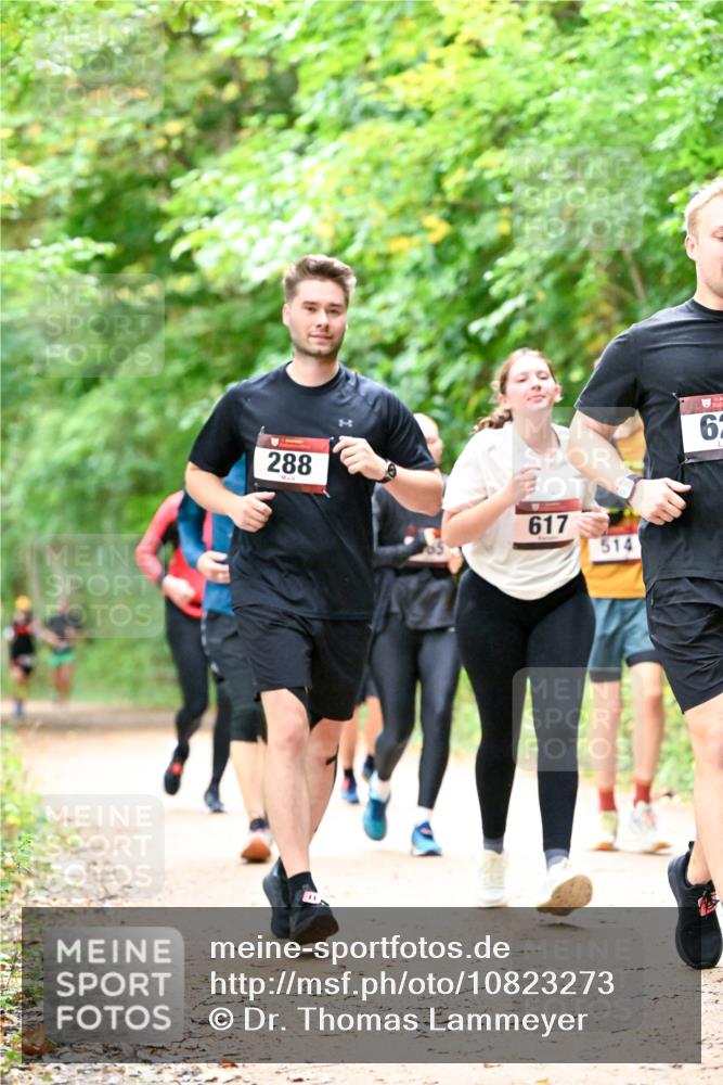 11.10.2026 - Bramfelder Halbmarathon 2026 Dr. Thomas Lammeyer http://msf.ph/oto/10823273 11.10.2026 10:37:52 Laufen 288, 617, 514, 61 meine-sportfotos.de