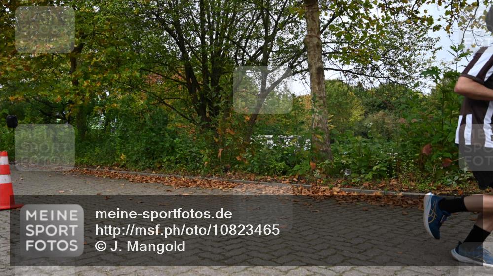 11.10.2026 - Bramfelder Halbmarathon 2026 J. Mangold http://msf.ph/oto/10823465 11.10.2026 10:32:47 Laufen 390 meine-sportfotos.de