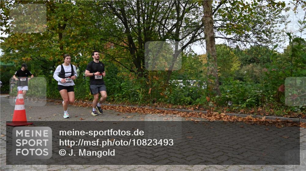11.10.2026 - Bramfelder Halbmarathon 2026 J. Mangold http://msf.ph/oto/10823493 11.10.2026 10:33:06 Laufen 253, 300, 329, 463 meine-sportfotos.de
