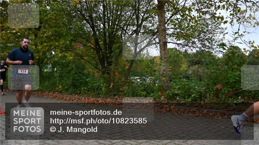 11.10.2026 - Bramfelder Halbmarathon 2026 J. Mangold http://msf.ph/oto/10823585 11.10.2026 10:33:22 Laufen 18, 114, 214, 429, 452, 479, 567, 605, 720 meine-sportfotos.de
