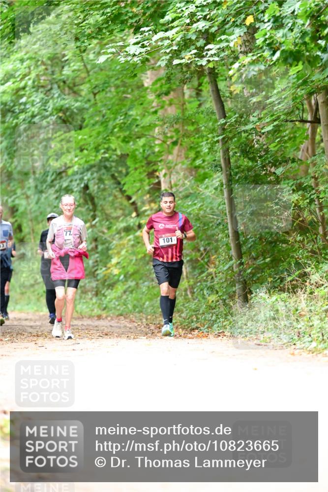 11.10.2026 - Bramfelder Halbmarathon 2026 Dr. Thomas Lammeyer http://msf.ph/oto/10823665 11.10.2026 10:39:20 Laufen 13, 101 meine-sportfotos.de