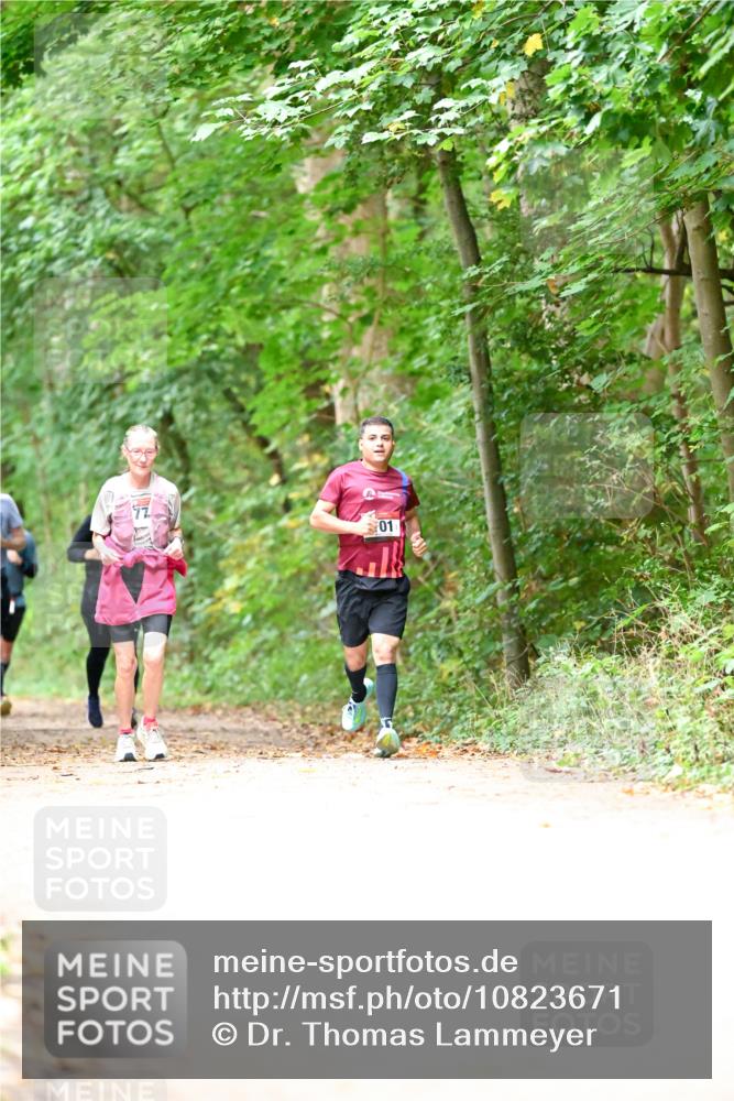11.10.2026 - Bramfelder Halbmarathon 2026 Dr. Thomas Lammeyer http://msf.ph/oto/10823671 11.10.2026 10:39:21 Laufen 01 meine-sportfotos.de