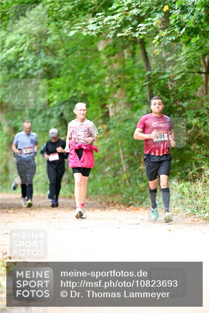 11.10.2026 - Bramfelder Halbmarathon 2026 Dr. Thomas Lammeyer http://msf.ph/oto/10823693 11.10.2026 10:39:23 Laufen 101 meine-sportfotos.de