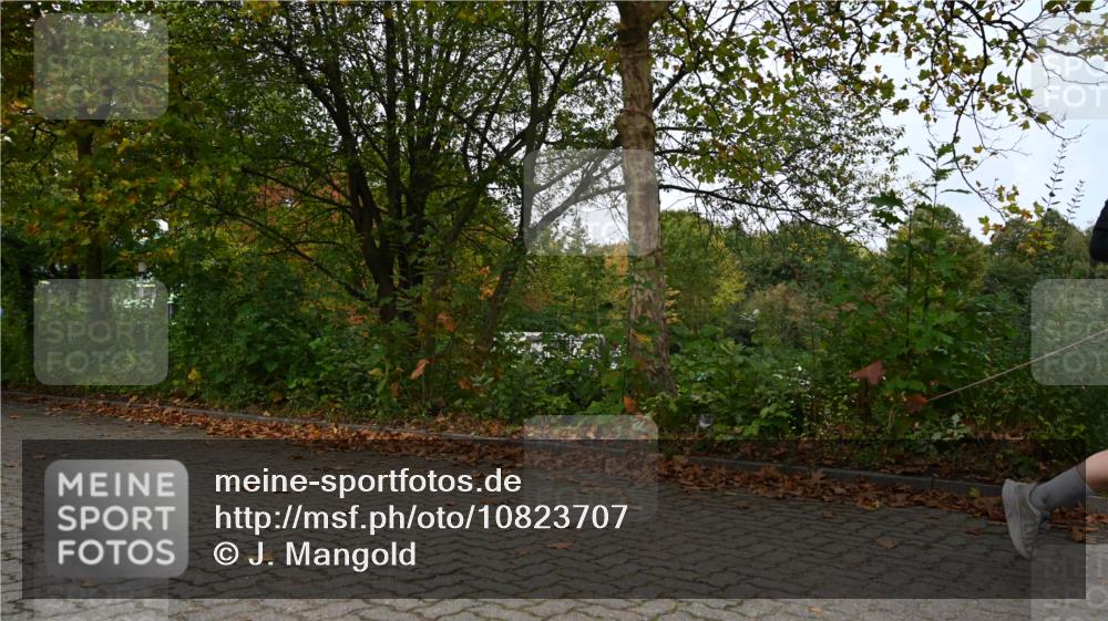 11.10.2026 - Bramfelder Halbmarathon 2026 J. Mangold http://msf.ph/oto/10823707 11.10.2026 10:34:22 Laufen 44, 303, 356, 439, 444, 822 meine-sportfotos.de