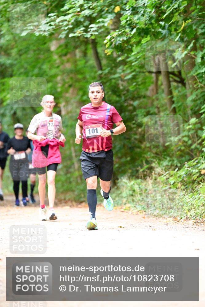 11.10.2026 - Bramfelder Halbmarathon 2026 Dr. Thomas Lammeyer http://msf.ph/oto/10823708 11.10.2026 10:39:24 Laufen 77, 101 meine-sportfotos.de