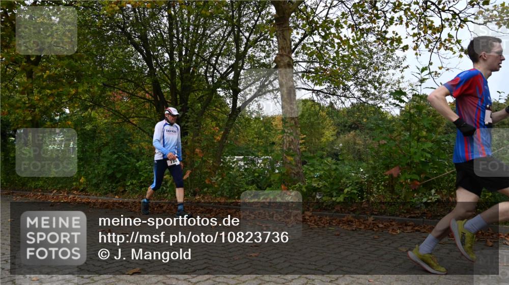 11.10.2026 - Bramfelder Halbmarathon 2026 J. Mangold http://msf.ph/oto/10823736 11.10.2026 10:34:26 Laufen 44, 303, 356, 439, 444, 780, 822 meine-sportfotos.de