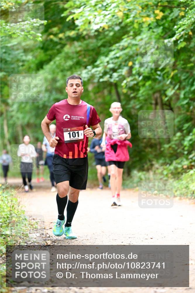 11.10.2026 - Bramfelder Halbmarathon 2026 Dr. Thomas Lammeyer http://msf.ph/oto/10823741 11.10.2026 10:39:26 Laufen 201, 101 meine-sportfotos.de