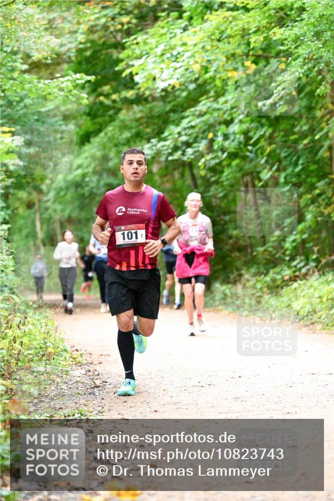 11.10.2026 - Bramfelder Halbmarathon 2026 Dr. Thomas Lammeyer http://msf.ph/oto/10823743 11.10.2026 10:39:27 Laufen 101, 72 meine-sportfotos.de