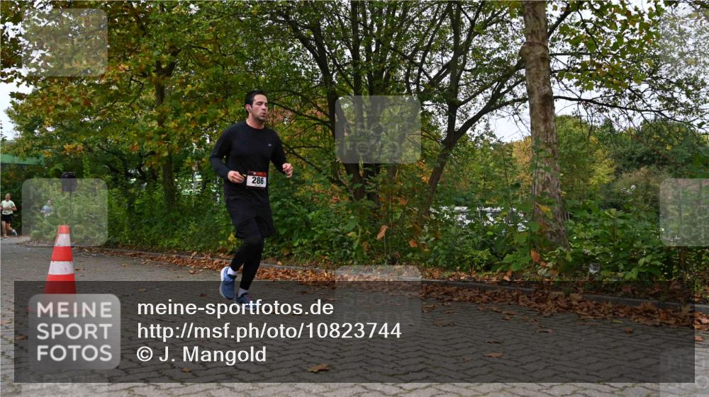 11.10.2026 - Bramfelder Halbmarathon 2026 J. Mangold http://msf.ph/oto/10823744 11.10.2026 10:34:50 Laufen 116, 164, 286, 539 meine-sportfotos.de