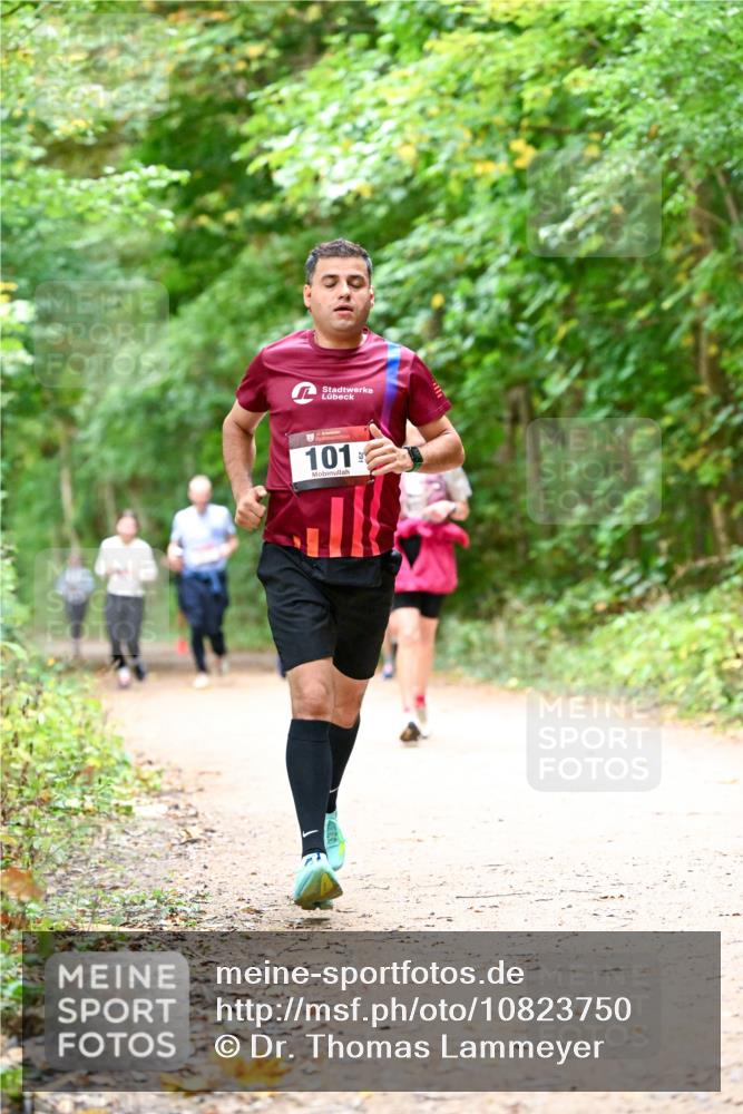 11.10.2026 - Bramfelder Halbmarathon 2026 Dr. Thomas Lammeyer http://msf.ph/oto/10823750 11.10.2026 10:39:27 Laufen 101 meine-sportfotos.de