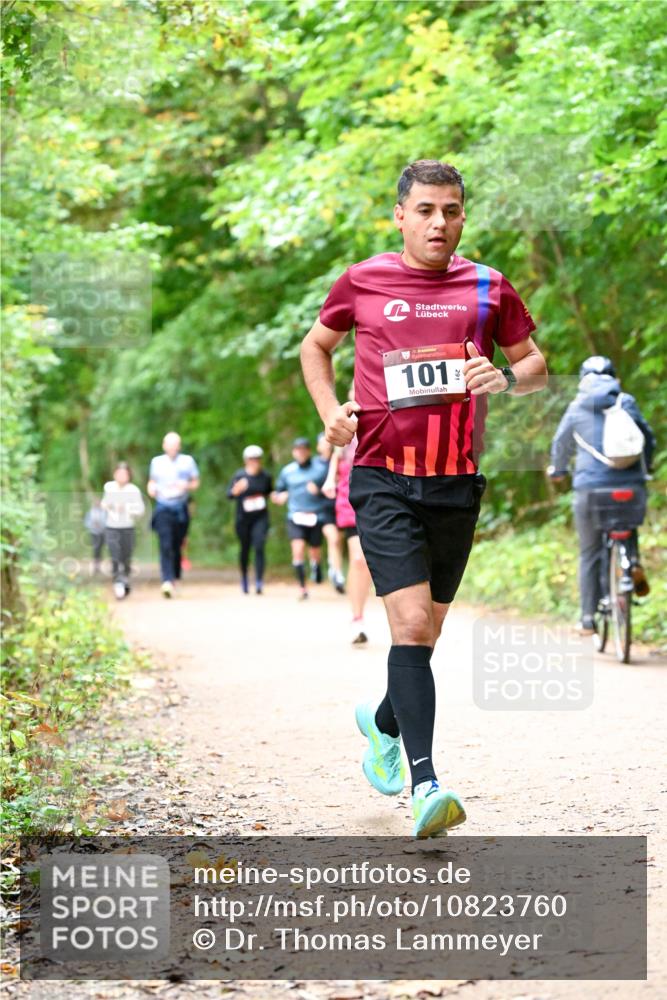 11.10.2026 - Bramfelder Halbmarathon 2026 Dr. Thomas Lammeyer http://msf.ph/oto/10823760 11.10.2026 10:39:28 Laufen 101 meine-sportfotos.de