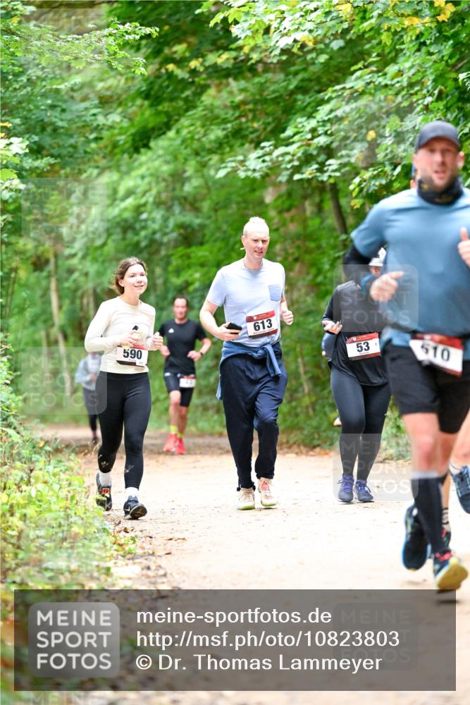 11.10.2026 - Bramfelder Halbmarathon 2026 Dr. Thomas Lammeyer http://msf.ph/oto/10823803 11.10.2026 10:39:32 Laufen 590, 613, 53, 510 meine-sportfotos.de