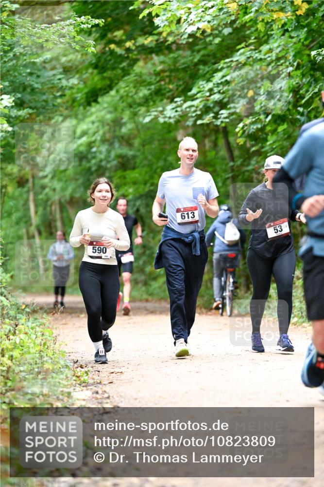 11.10.2026 - Bramfelder Halbmarathon 2026 Dr. Thomas Lammeyer http://msf.ph/oto/10823809 11.10.2026 10:39:32 Laufen 590, 295, 613, 53 meine-sportfotos.de