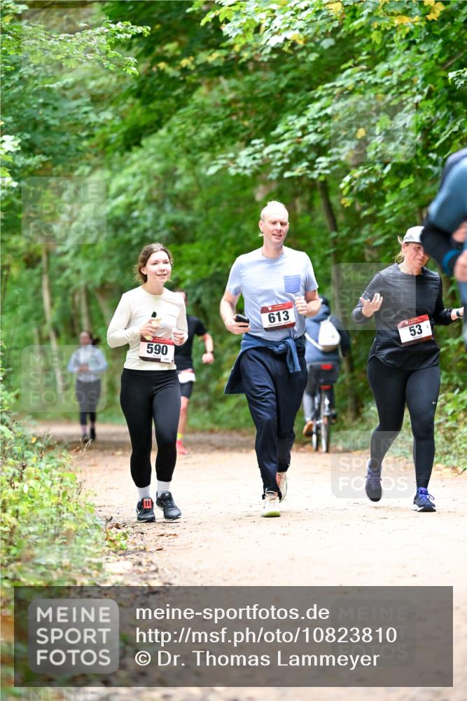 11.10.2026 - Bramfelder Halbmarathon 2026 Dr. Thomas Lammeyer http://msf.ph/oto/10823810 11.10.2026 10:39:32 Laufen 590, 295, 613, 53 meine-sportfotos.de