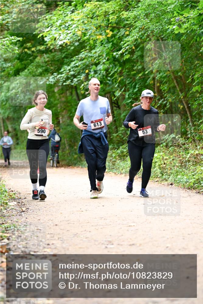 11.10.2026 - Bramfelder Halbmarathon 2026 Dr. Thomas Lammeyer http://msf.ph/oto/10823829 11.10.2026 10:39:34 Laufen 590, 613, 53 meine-sportfotos.de