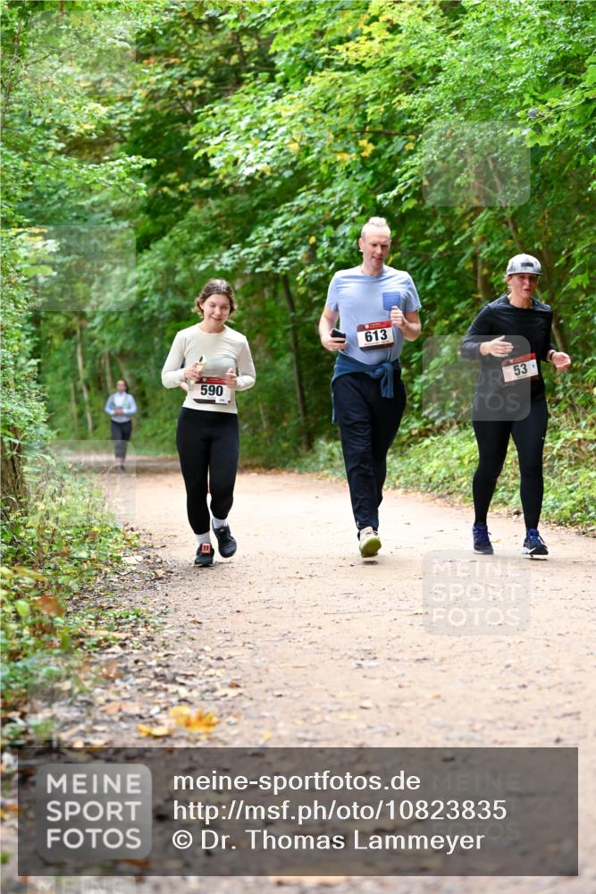 11.10.2026 - Bramfelder Halbmarathon 2026 Dr. Thomas Lammeyer http://msf.ph/oto/10823835 11.10.2026 10:39:35 Laufen 590, 295, 613, 53 meine-sportfotos.de