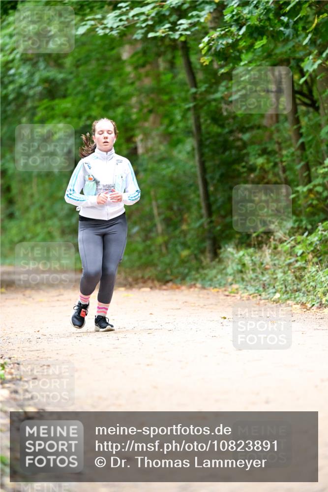 11.10.2026 - Bramfelder Halbmarathon 2026 Dr. Thomas Lammeyer http://msf.ph/oto/10823891 11.10.2026 10:39:42 Laufen  meine-sportfotos.de