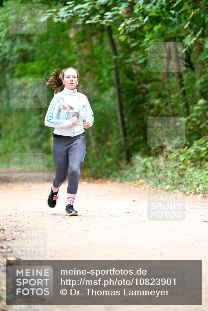 11.10.2026 - Bramfelder Halbmarathon 2026 Dr. Thomas Lammeyer http://msf.ph/oto/10823901 11.10.2026 10:39:43 Laufen  meine-sportfotos.de