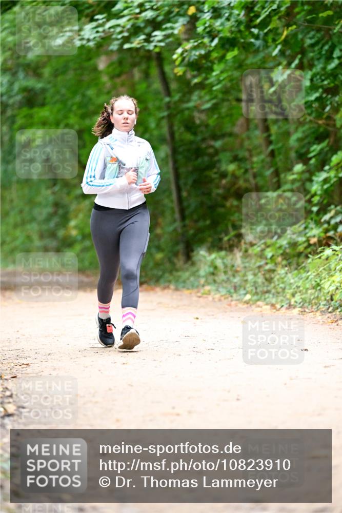 11.10.2026 - Bramfelder Halbmarathon 2026 Dr. Thomas Lammeyer http://msf.ph/oto/10823910 11.10.2026 10:39:44 Laufen  meine-sportfotos.de