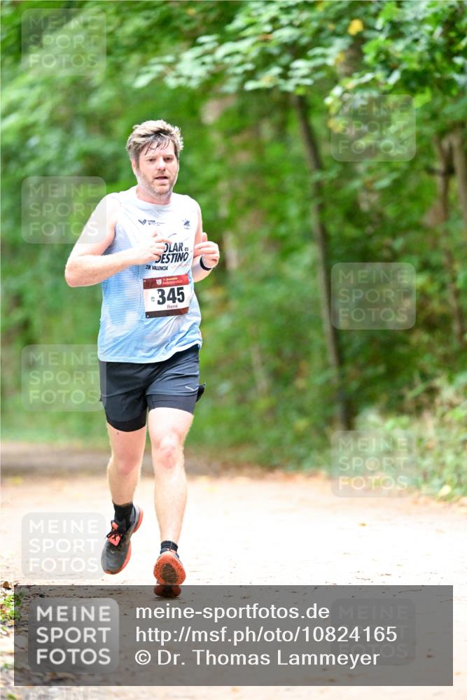 11.10.2026 - Bramfelder Halbmarathon 2026 Dr. Thomas Lammeyer http://msf.ph/oto/10824165 11.10.2026 10:41:31 Laufen 2, 345 meine-sportfotos.de