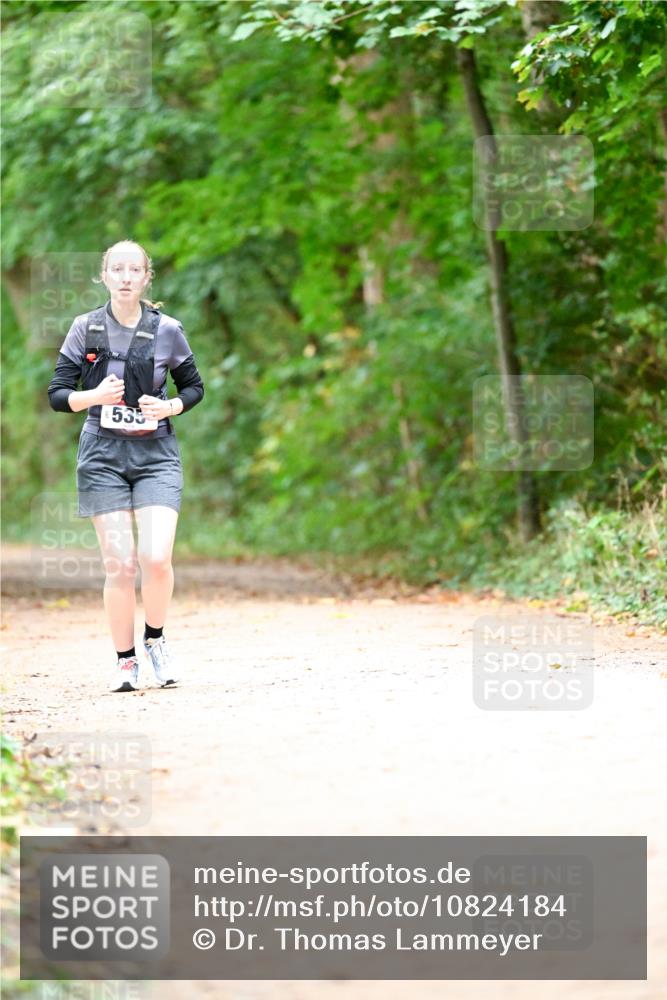 11.10.2026 - Bramfelder Halbmarathon 2026 Dr. Thomas Lammeyer http://msf.ph/oto/10824184 11.10.2026 10:41:39 Laufen 20, 535 meine-sportfotos.de