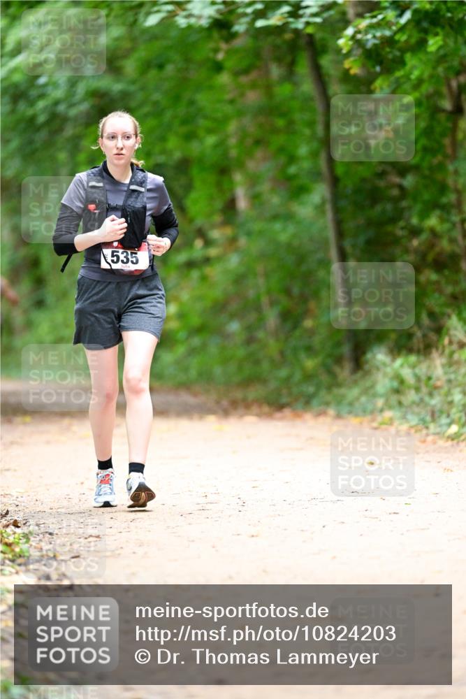 11.10.2026 - Bramfelder Halbmarathon 2026 Dr. Thomas Lammeyer http://msf.ph/oto/10824203 11.10.2026 10:41:40 Laufen 535 meine-sportfotos.de