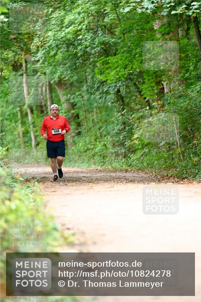 11.10.2026 - Bramfelder Halbmarathon 2026 Dr. Thomas Lammeyer http://msf.ph/oto/10824278 11.10.2026 10:42:02 Laufen 568 meine-sportfotos.de