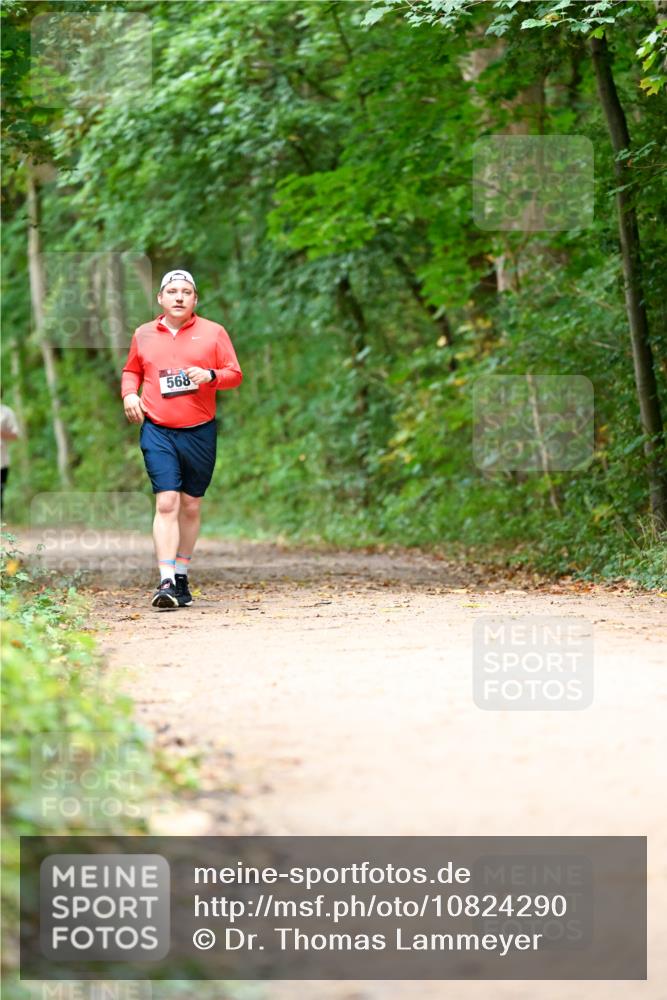 11.10.2026 - Bramfelder Halbmarathon 2026 Dr. Thomas Lammeyer http://msf.ph/oto/10824290 11.10.2026 10:42:06 Laufen 568 meine-sportfotos.de