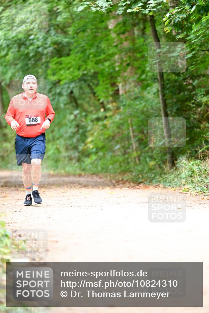 11.10.2026 - Bramfelder Halbmarathon 2026 Dr. Thomas Lammeyer http://msf.ph/oto/10824310 11.10.2026 10:42:09 Laufen 568, 96 meine-sportfotos.de