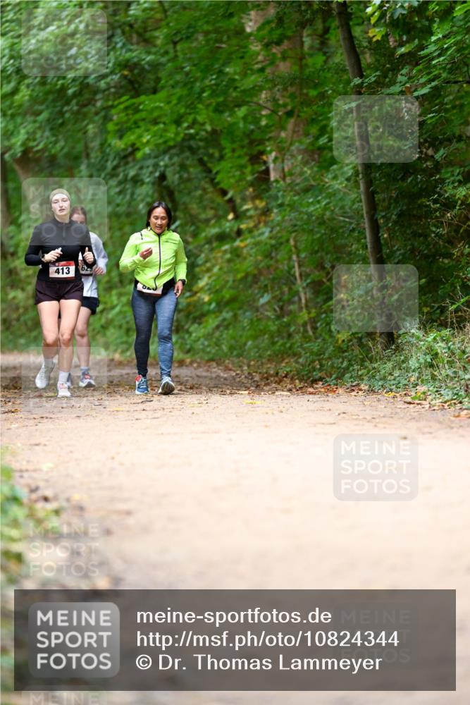 11.10.2026 - Bramfelder Halbmarathon 2026 Dr. Thomas Lammeyer http://msf.ph/oto/10824344 11.10.2026 10:42:30 Laufen 413 meine-sportfotos.de