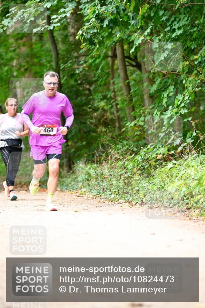 11.10.2026 - Bramfelder Halbmarathon 2026 Dr. Thomas Lammeyer http://msf.ph/oto/10824473 11.10.2026 10:43:06 Laufen 460 meine-sportfotos.de