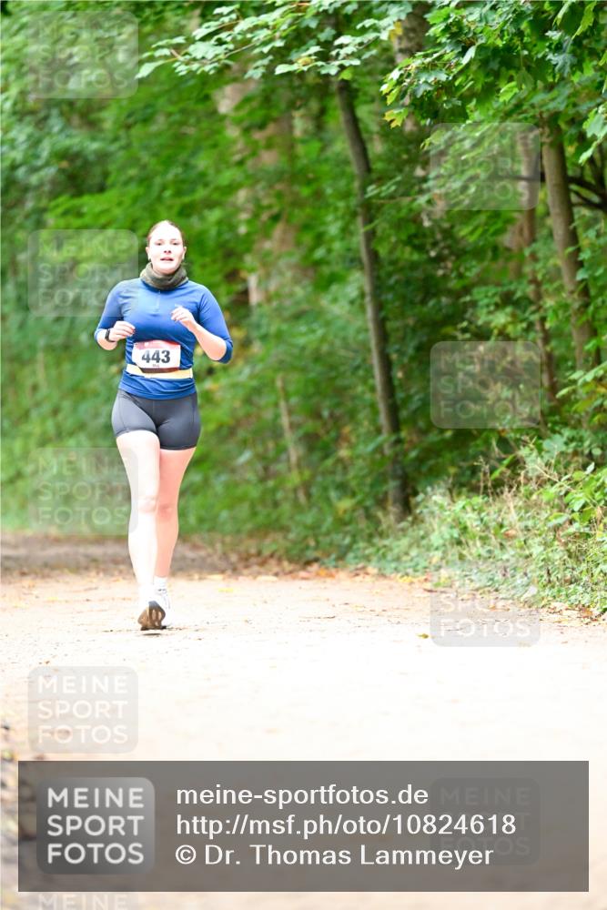 11.10.2026 - Bramfelder Halbmarathon 2026 Dr. Thomas Lammeyer http://msf.ph/oto/10824618 11.10.2026 10:44:01 Laufen 443 meine-sportfotos.de